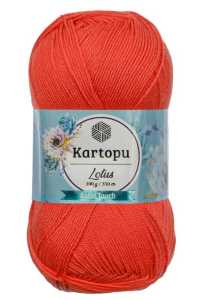 Kartopu Lotus K101