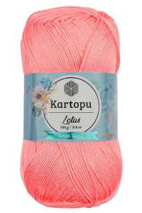 Kartopu Lotus K766
