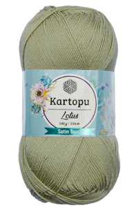 Kartopu Lotus K874