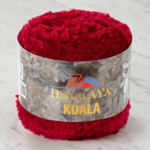 Himalaya Koala