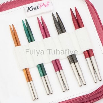 Knitpro Dreamz Starter Değiştirilebilir Misinalı 13 cm Şiş Seti