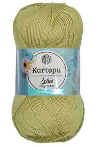 Kartopu Lotus K483