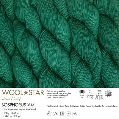 Gazzal Wool Star 3816