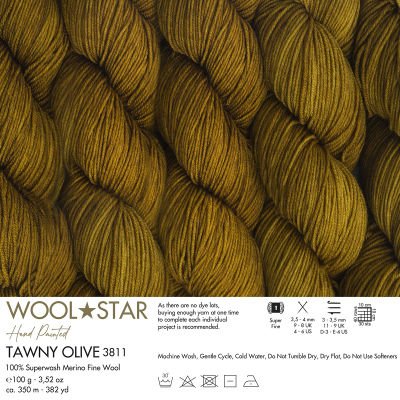 Gazzal Wool Star 3811